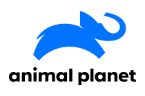 Animal Planet (niem.) logo