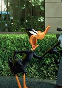 plakat filmu Kaczor Daffy