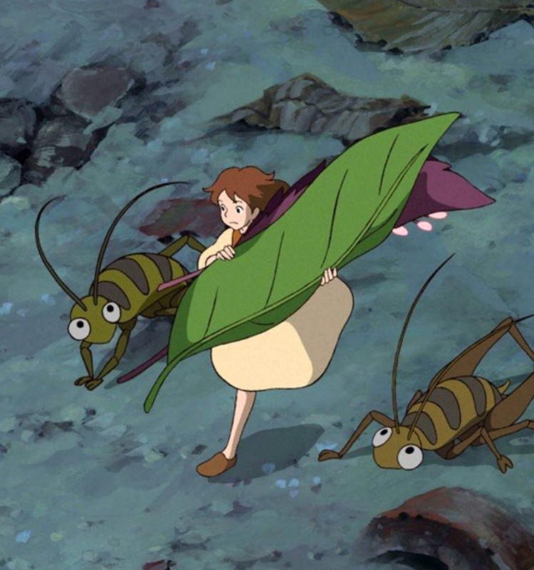 Arietty | Zobacz Postać | - Studio Ghibli - Filmweb