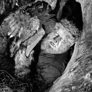House of Frankenstein - galeria zdjęć - filmweb