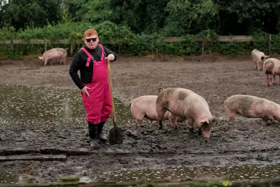 Hakken over de Sloot - galeria zdjęć - filmweb