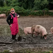 Hakken over de Sloot - galeria zdjęć - filmweb