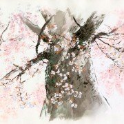 Kaguyahime no monogatari - galeria zdjęć - filmweb