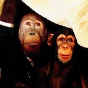 Babe: Pig in the City - galeria zdjęć - filmweb