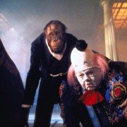 Babe - świnka w mieście - galeria zdjęć - filmweb