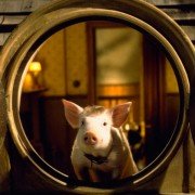 Babe: Pig in the City - galeria zdjęć - filmweb
