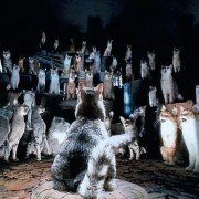 Babe: Pig in the City - galeria zdjęć - filmweb