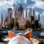 Babe: Pig in the City - galeria zdjęć - filmweb