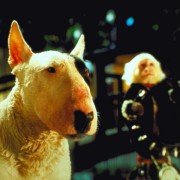 Babe: Pig in the City - galeria zdjęć - filmweb