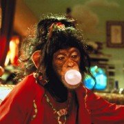 Babe: Pig in the City - galeria zdjęć - filmweb