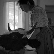 Oczy matki - galeria zdjęć - filmweb