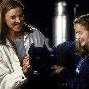 Czarny pies - galeria zdjęć - filmweb
