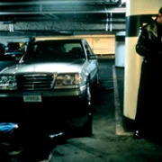 Zebra Lounge - galeria zdjęć - filmweb