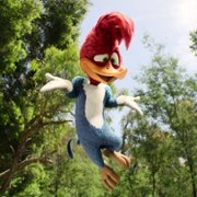 Dzięciołek Woody jedzie na obóz - galeria zdjęć - filmweb