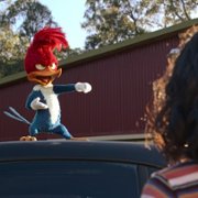 Woody Woodpecker Goes to Camp - galeria zdjęć - filmweb