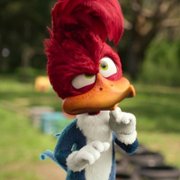 Woody Woodpecker Goes to Camp - galeria zdjęć - filmweb