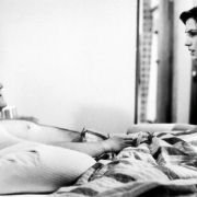 Celebrity - galeria zdjęć - filmweb