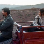 Animalia - galeria zdjęć - filmweb