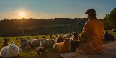 Sprawiedliwość owiec - galeria zdjęć - filmweb