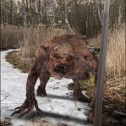 The Witcher: Monster Slayer - galeria zdjęć - filmweb