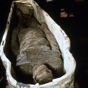 Tales from the Darkside: The Movie - galeria zdjęć - filmweb