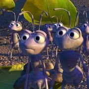 A Bug's Life - galeria zdjęć - filmweb