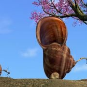 A Bug's Life - galeria zdjęć - filmweb