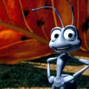A Bug's Life - galeria zdjęć - filmweb