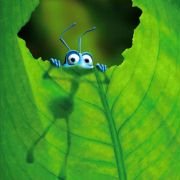 A Bug's Life - galeria zdjęć - filmweb