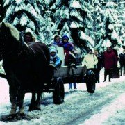 Demony wojny wg Goi - galeria zdjęć - filmweb