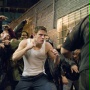 Fighting - galeria zdjęć