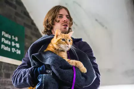 Kot Bob i ja - galeria zdjęć - filmweb