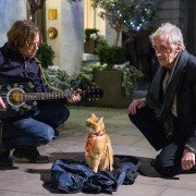 Kot Bob i ja - galeria zdjęć - filmweb