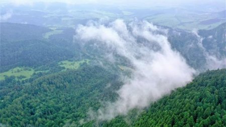 Sezon 4 Odcinek 11 Kotlina Kłodzka