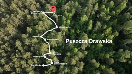 Sezon 7 Odcinek 6 Puszcza Drawska