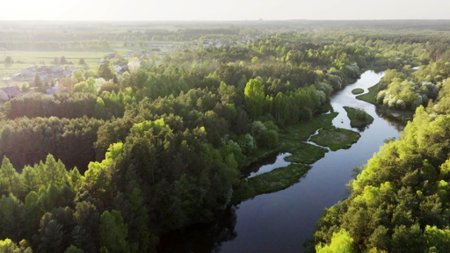 Sezon 9 Odcinek 4 Nad Wartą i Liswartą
