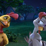 Un gallo con muchos huevos - galeria zdjęć - filmweb