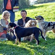 Los numeros - galeria zdjęć - filmweb
