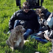 Los numeros - galeria zdjęć - filmweb
