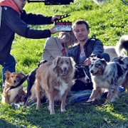 Los numeros - galeria zdjęć - filmweb