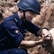 Chai Dan Zhuan Jia - galeria zdjęć - filmweb