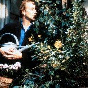 Kanapa w Nowym Jorku - galeria zdjęć - filmweb