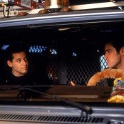 The Cable Guy - galeria zdjęć - filmweb