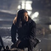 Hemlock Grove - galeria zdjęć - filmweb