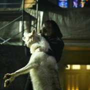 Hemlock Grove - galeria zdjęć - filmweb