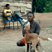 Gdy powieje harmattan - galeria zdjęć - filmweb