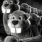 Hundreds of Beavers - galeria zdjęć - filmweb