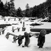 Hundreds of Beavers - galeria zdjęć - filmweb