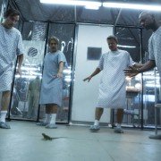 Mad Dogs - galeria zdjęć - filmweb