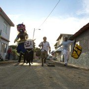 Mad Dogs - galeria zdjęć - filmweb